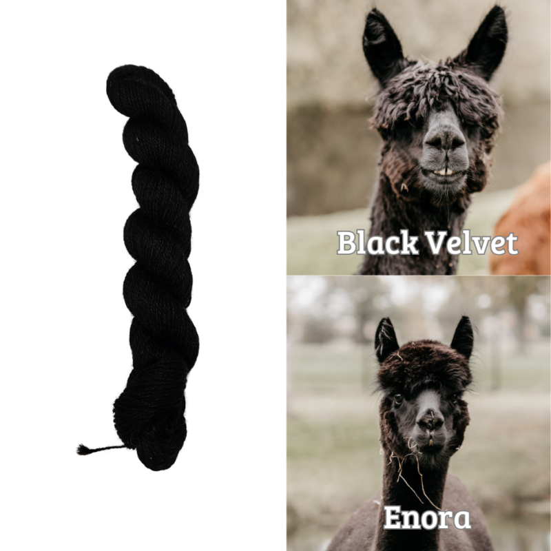 Black Velvet en Enora 100% pure Alpaca
