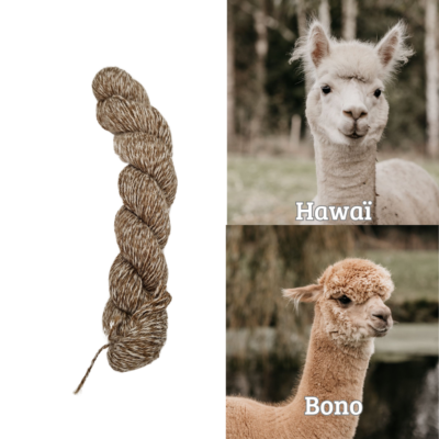 Bono & Hawaii 100% pure Alpaca