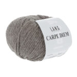 Lang Yarns Carpe Diem